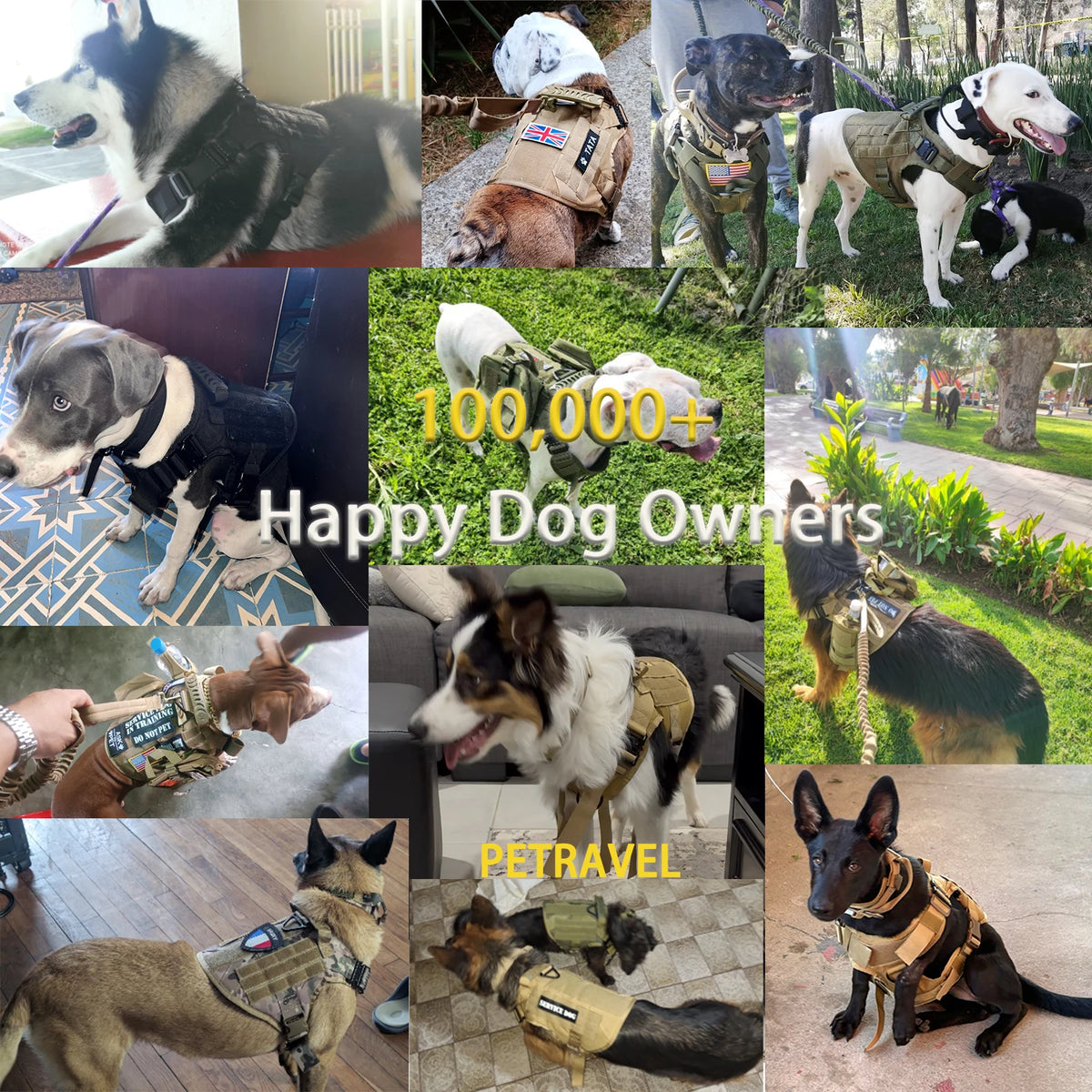 Tactical Dog Harness With Molle Pouches For Large Dogs
