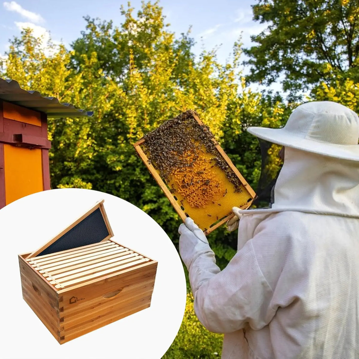 TWISTER.CK 10 Frame Deep Brood Beehive Box With Beeswax Frames