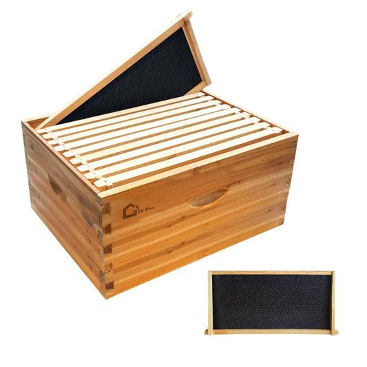 TWISTER.CK 10 Frame Deep Brood Beehive Box With Beeswax Frames