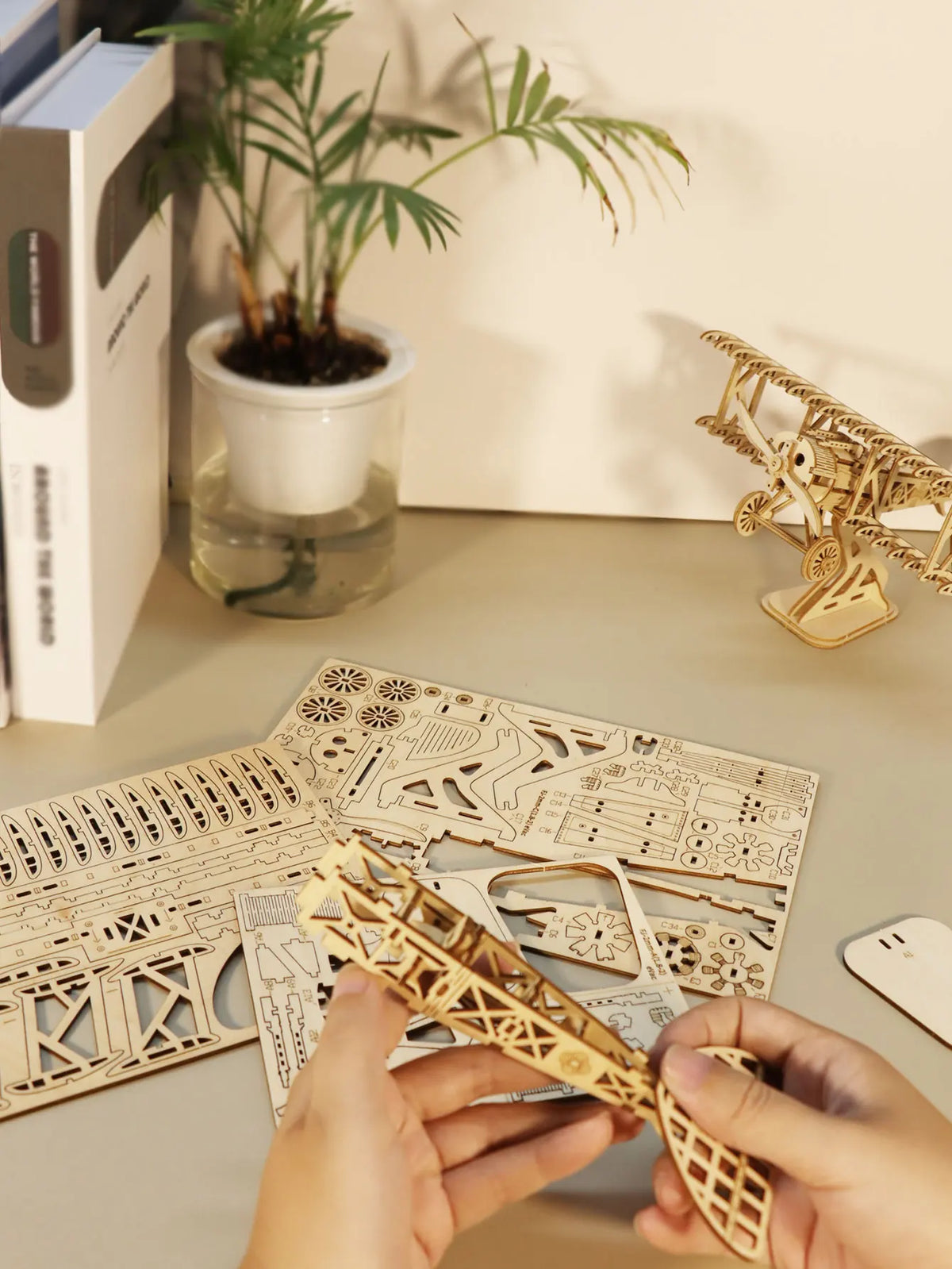 Bi-Plane 3D Wooden Puzzle Kit For DIY Craft Enthusiasts