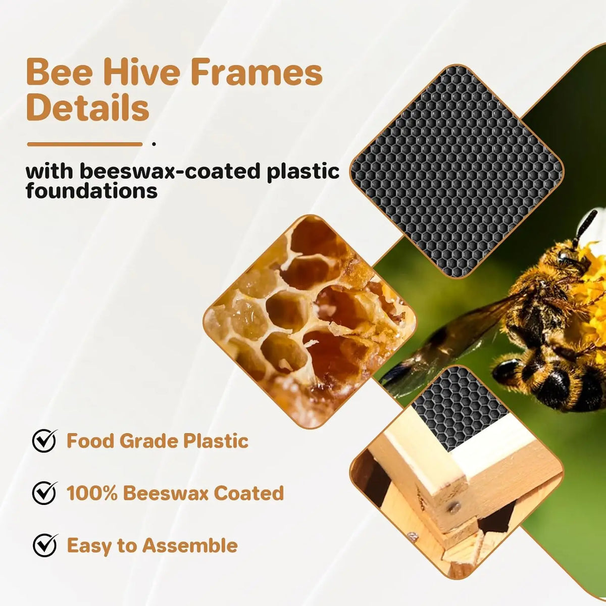 TWISTER.CK 10 Frame Deep Brood Beehive Box With Beeswax Frames